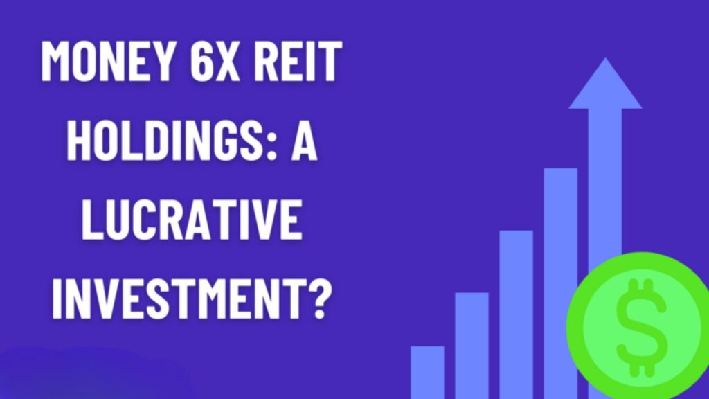 Money 6x REIT Holdings